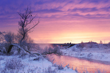 Winter dawn in the Moscow region. Frost