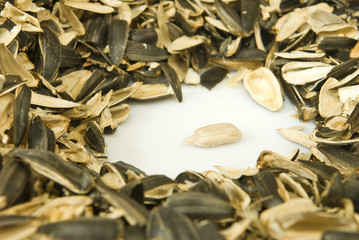 image of seeds and husks