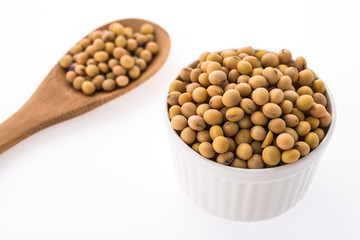 Soybean isolated on white background