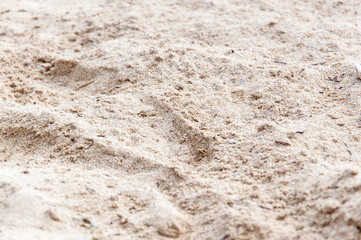 Raindrops on dry sand closeup.