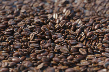 Viele Kaffeebohnen für Kaffee