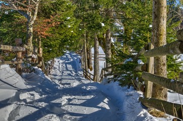 Winter path in the Alpine meadow