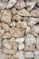 Weathered rock background with Elegant Sunburst Lichen