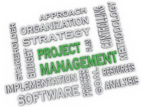 3d image project management issues concept word cloud background