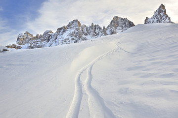Fototapeta na wymiar Trentino Dolomiti Pale di San Martino Passo Rolle