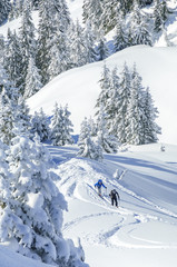 Fototapeta na wymiar Tourengeher im verschneiten Tirol