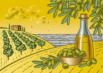 Obrazy na Plexi  Krajobraz zbiorów oliwek