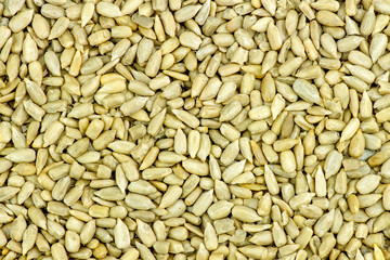 Macro background texture of tasty fresh sunflower seeds