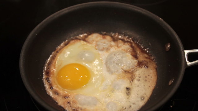 Fried Egg