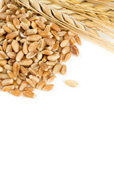 pearl barley isolated on white