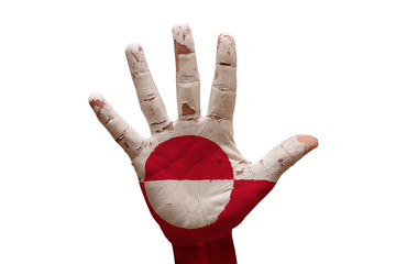 palm flag greenland © tony4urban