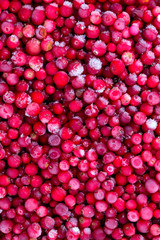 frozen cowberries