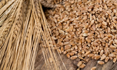 barley on wooden surface