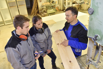 Group of students in woodwork training course