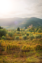 Fototapeta na wymiar Italian medieval 'Church between vineyards, Tuscany