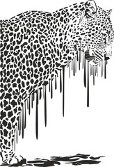 Leopard, abstract painting on a white background