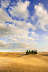 Autumn colors on the fields with Cypresses - 75642160
