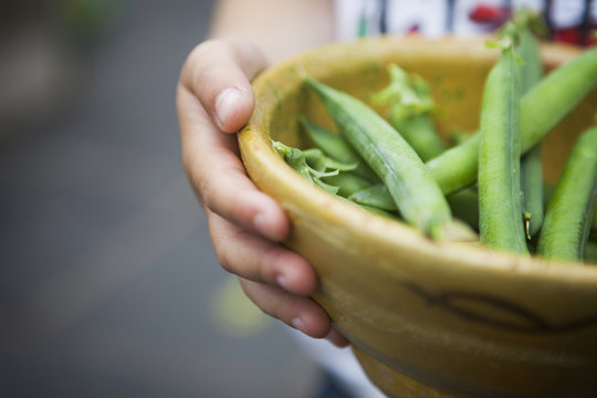 Person holding bowl of freshly picked peas.
