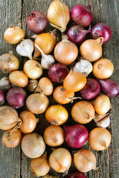red and yellow onion on wooden surface