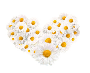 Obraz premium beautiful chamomiles in the shape of the loving heart