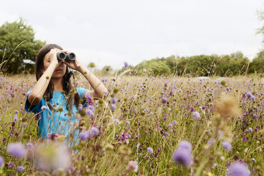 Girl standing in meadow, looking through binoculars