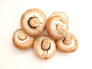 braune champignions