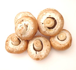 braune champignions