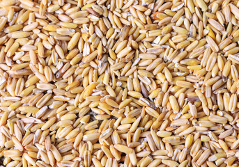 The texture of the grain