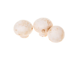 champignons