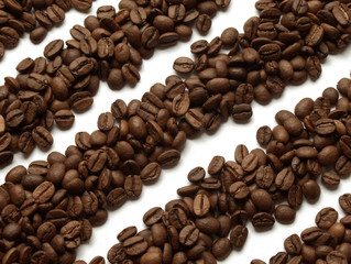 Coffee beans lines on white background