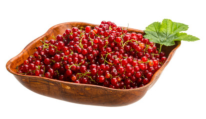 Red currant