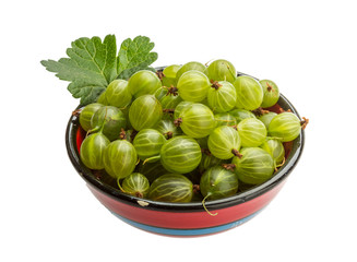 Gooseberry