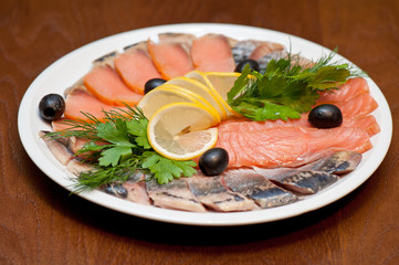 Fish plate