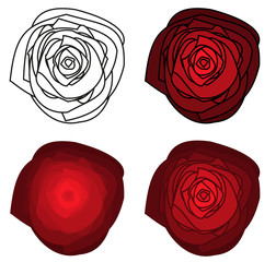 Collections of 4 isolated abstract roses