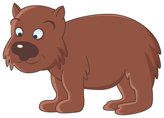wombat