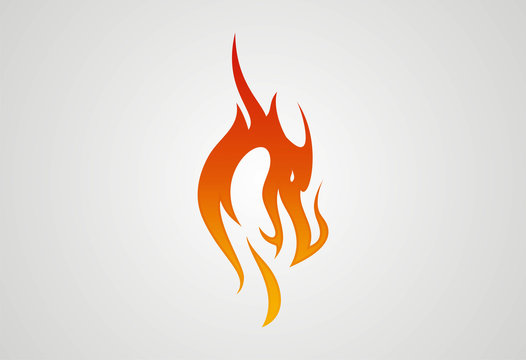 Dragon fire logo vector
