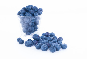 blueberry fruit