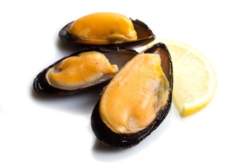 cozze