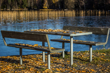 Table and Benches with Leaves