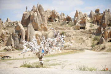 Rolgordijnen Cappadocia wish tree © roibu
