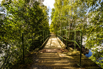 Steel Bridge in Birch Forest