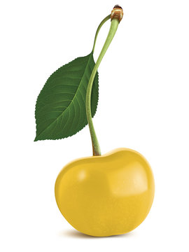 Cherry yellow with leaf, isolated. Vector illustration