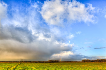 Fototapeta na wymiar Landscape of grassland with rainbow at the horizon
