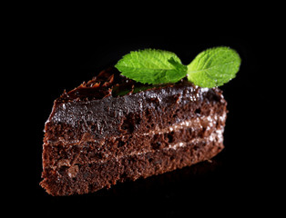 Piece of chocolate cake with mint leaves