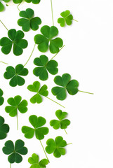 Bear Clover Leaf Green, background