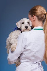 Beautiful female vet holding cute dog