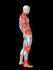 3D human man anatomy with articular pain