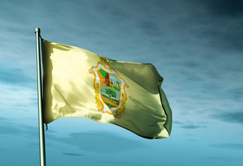 Manaus (Brazil) flag waving on the wind