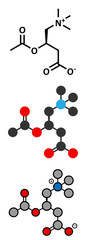 Acetylcarnitine (ALCAR) nutritional supplement molecule.