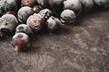 Obraz premium frozen black currant